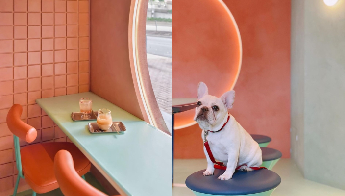 狗狗好去處、寵物友善餐廳、寵物cafe